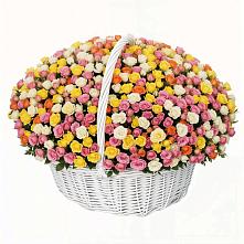 Премиум букет из: Розы в Шербакуле