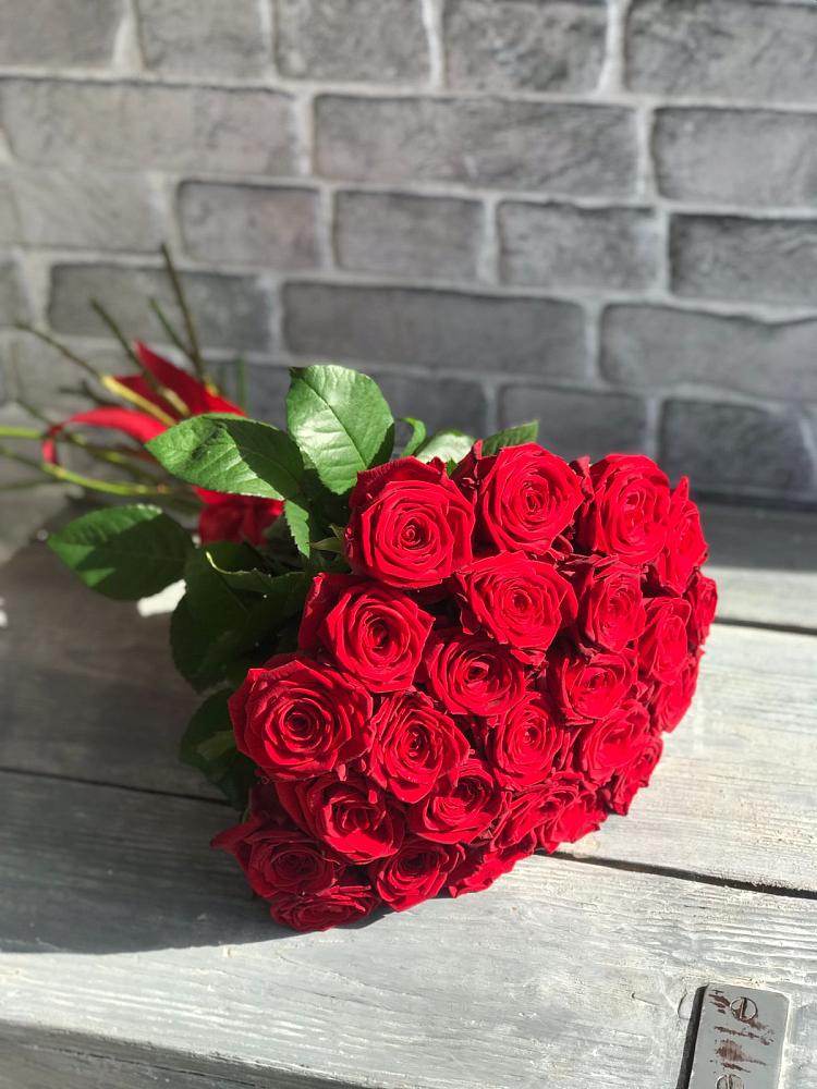 Букет Красные розы Фридом в Шербакуле