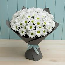 Букет цветов из:  Хризантемы в Шербакуле