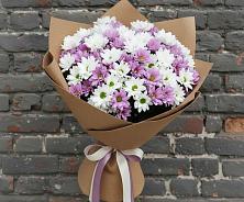 Букет цветов из:  Хризантемы #REPLACE_PRED# Шербакуле