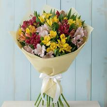 Букет цветов из:  Альстромерии в Шербакуле