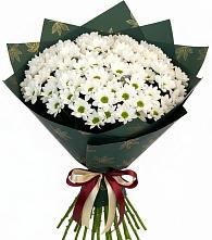 Букет цветов из:  Хризантемы в Шербакуле