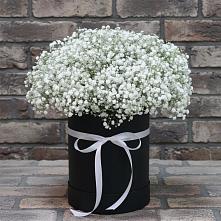 Цветочная композиция из Гипсофила в шляпной коробке в Шербакуле