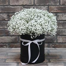 Цветочная композиция из Гипсофила в шляпной коробке в Шербакуле