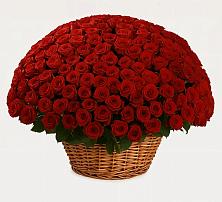 Премиум букет из: Розы в Шербакуле