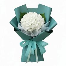 Букет цветов из:  Гортензия #REPLACE_PRED# Шербакуле
